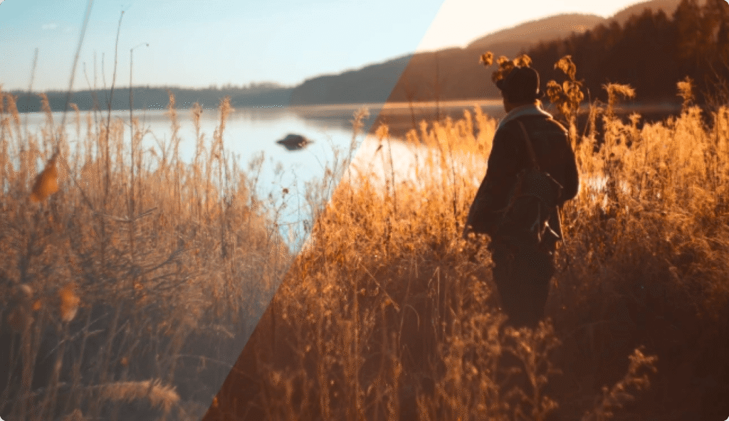 Person walking through tall grass near a lake with a split view showing before and after color correction.